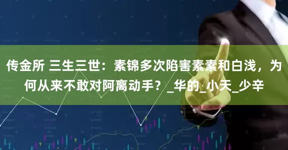 传金所 三生三世：素锦多次陷害素素和白浅，为何从来不敢对阿离动手？_华的_小天_少辛