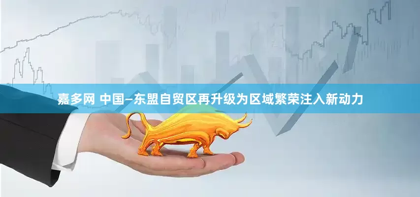 嘉多网 中国—东盟自贸区再升级为区域繁荣注入新动力