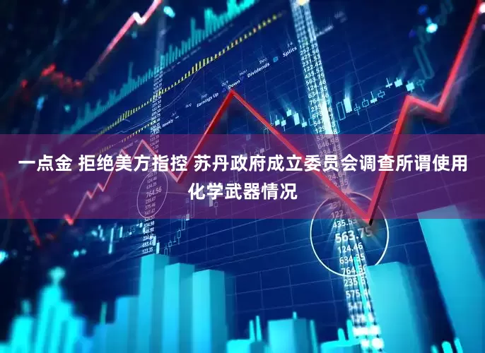 一点金 拒绝美方指控 苏丹政府成立委员会调查所谓使用化学武器情况