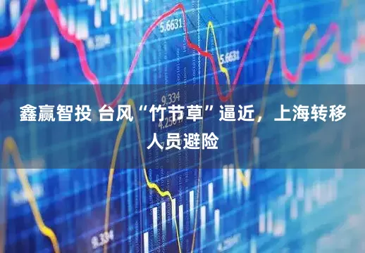 鑫赢智投 台风“竹节草”逼近，上海转移人员避险