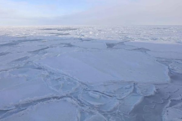 金鑫优配 好消息！地球的保护性臭氧层正在恢复
