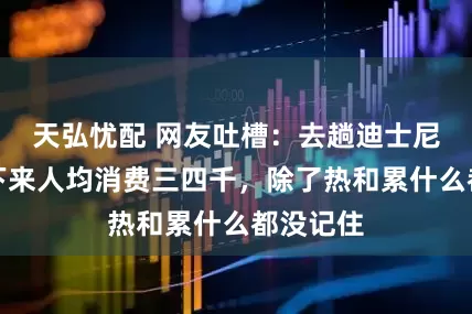 天弘忧配 网友吐槽：去趟迪士尼，一天下来人均消费三四千，除了热和累什么都没记住